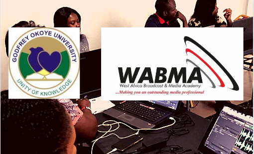 WABMA-GOUNi Programme